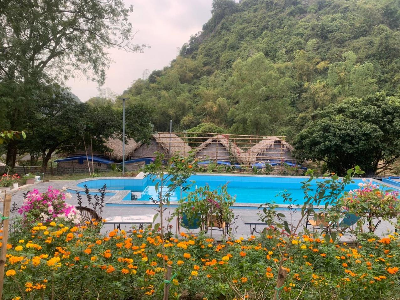 Cat Ba Island Garden Homestay - Papillon מראה חיצוני תמונה